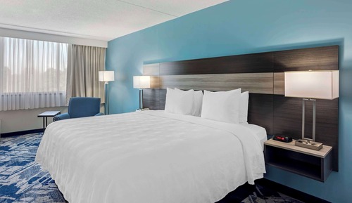 Standard Room,1 King Bed, Accessible, Bathtub, Refrigerator & Microwave