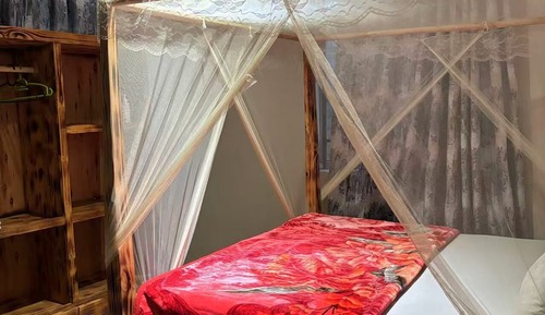 Comfort Single Room
