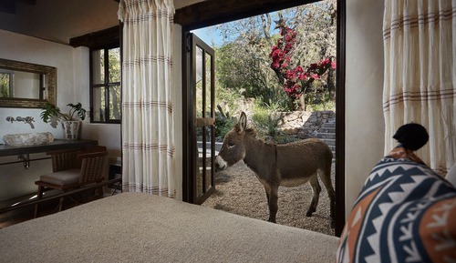 Panoramic Suite