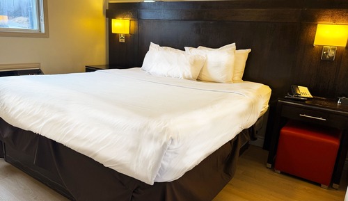 Suite, 1 King Bed