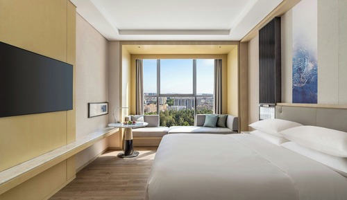 Business Room, 1 King Bed, City View