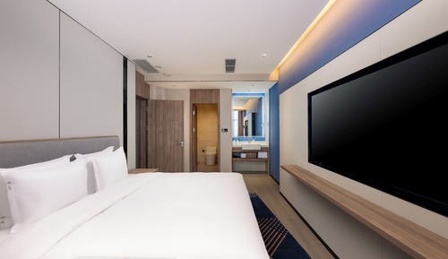 1 King Bed 1 Bedroom Suite