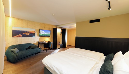 Deluxe Double Room, 1 King Bed with Sofa bed