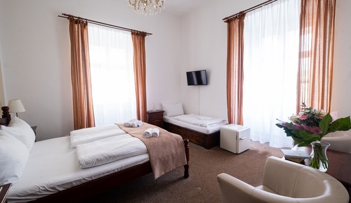 Basic Triple Room