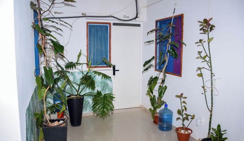 Basic Room, Non Smoking, Courtyard View