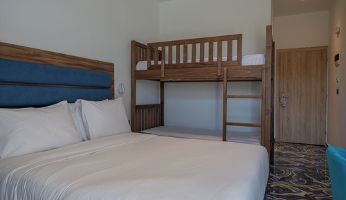 Standard Family Room Bunk Bed Garden View