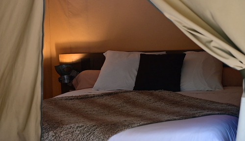 Standard tent (River 1)