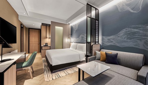 Room, 1 King Bed with Sofa bed
