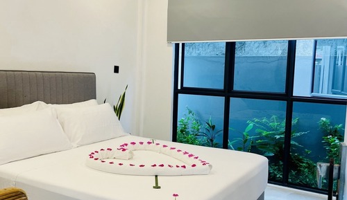 Executive Double Room
