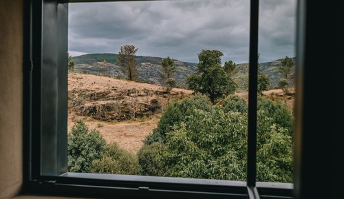 Deluxe Room, Mountain View