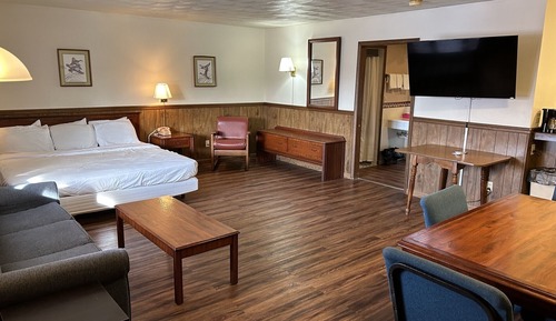 Premium Room, 1 King Bed with Sofa bed