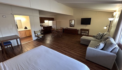Executive Room, 1 King Bed with Sofa bed, Kitchenette