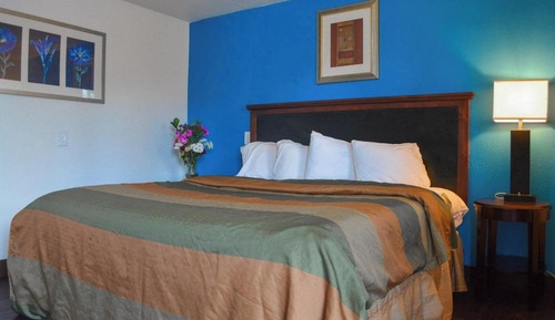 Room, 1 King Bed