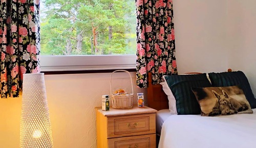 Basic Room