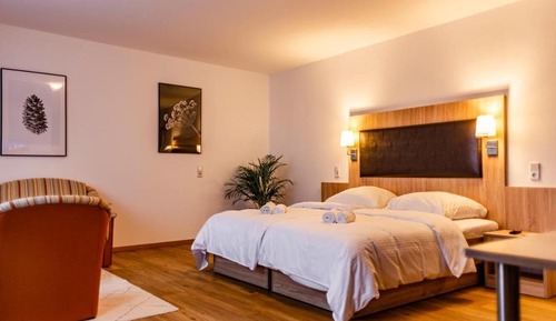 Double or Twin Room, Accessible