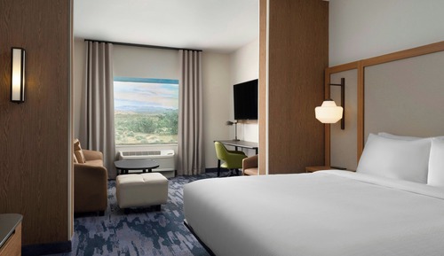 Suite, 1 King Bed with Sofa bed