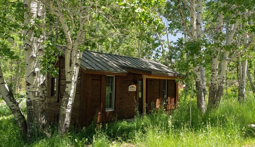 Cabin, 1 Queen Bed, Fireplace