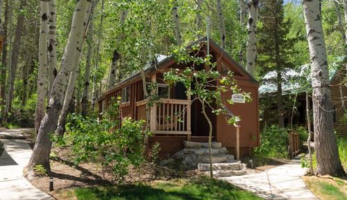 Cabin, 1 Queen Bed, Kitchen