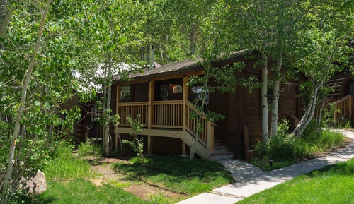 Basic Cabin, 1 King Bed, Non Smoking, Pets Allowed