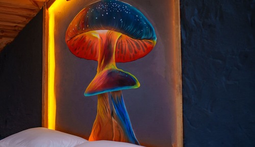 Comfort Room, 1 Queen Bed, Garden View