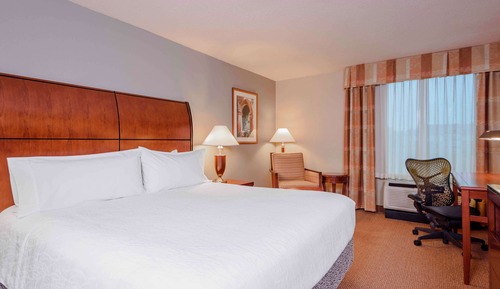 Room, 1 King Bed, Accessible, Bathtub