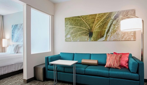 Suite, 1 King Bed with Sofa bed
