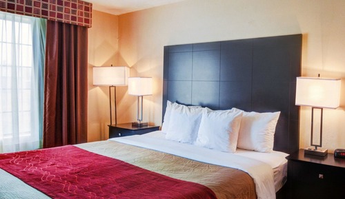 Room, 1 King Bed, Accessible, Non Smoking