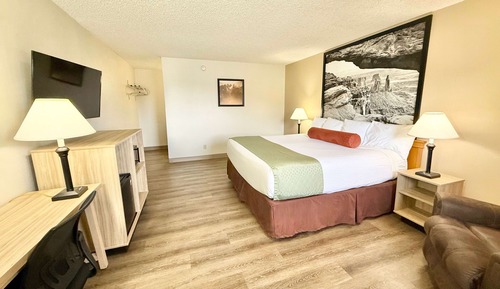 Room, 1 King Bed, Non Smoking