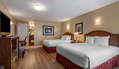 Standard Room, 2 Queen Beds, Refrigerator & Microwave, Ground Floor (Pet Friendly)