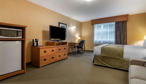 Standard Room, 1 King Bed, Accessible, Non Smoking (with Sofabed)