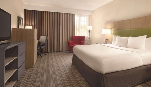 Room, 1 King Bed, Accessible, Non Smoking (Roll-in Shower)