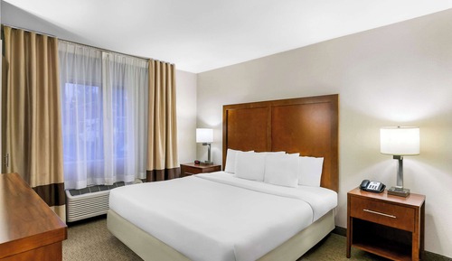 Room, 1 King Bed, Accessible, Non Smoking (Roll In Shower)