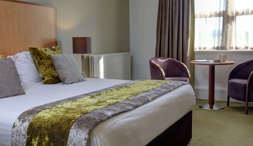 Executive Room, 1 King Bed, Non Smoking