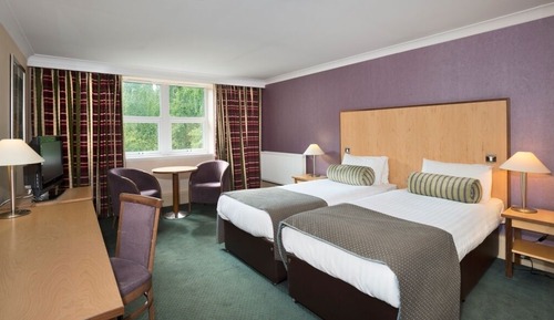 Executive Room, 2 Twin Beds, Non Smoking