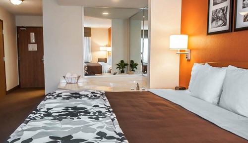 Room, 1 King Bed, Non Smoking