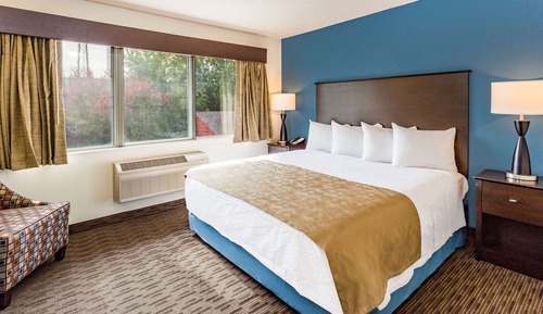 Room, 1 King Bed, Non Smoking