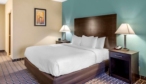 Suite, 1 King Bed with Sofa bed, Accessible, Non Smoking