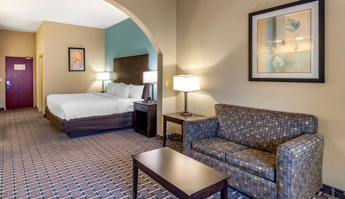 Suite, 1 King Bed with Sofa bed, Non Smoking