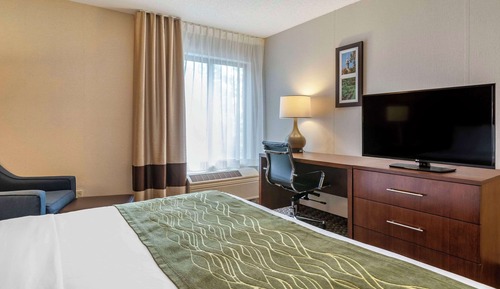Standard Room, 1 King Bed, Non Smoking