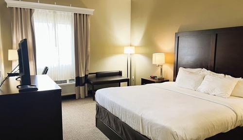Room, 1 King Bed, Non Smoking