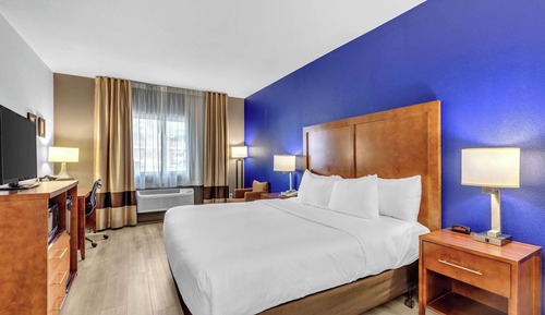 Standard Room, 1 King Bed, Non Smoking