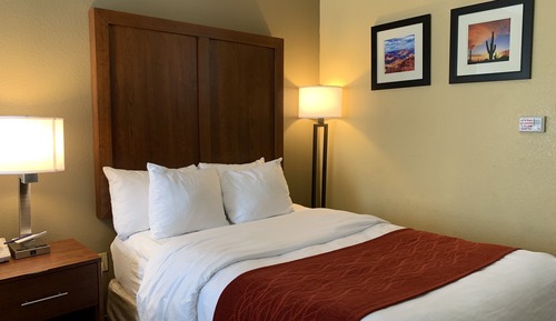 Standard Double Room, 2 Double Beds, Non Smoking