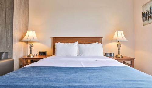 Business Room, 1 King Bed, Non Smoking