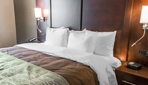 Suite, 1 King Bed with Sofa bed, Non Smoking