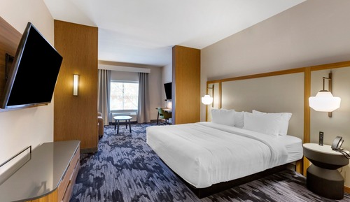 Suite, 1 King Bed with Sofa bed