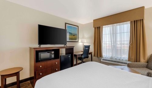 Standard Room, 1 Queen Bed, Accessible, Non Smoking