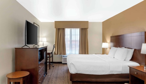 Standard Room, 1 King Bed, Non Smoking