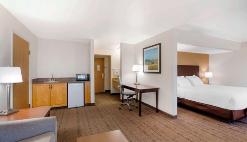 Standard Room, 1 King Bed, Non Smoking (with Sofabed)