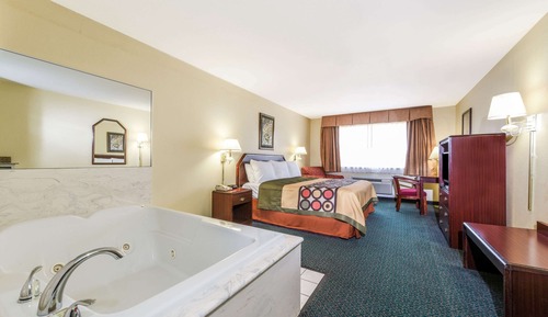Suite, 1 King Bed