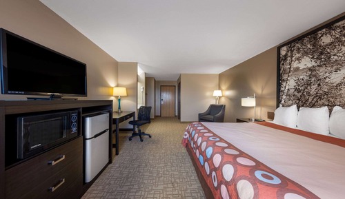 Room, 1 King Bed